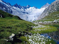 Unteraargletscher, Switzerland